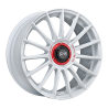 Superturismo Evoluzione WRC